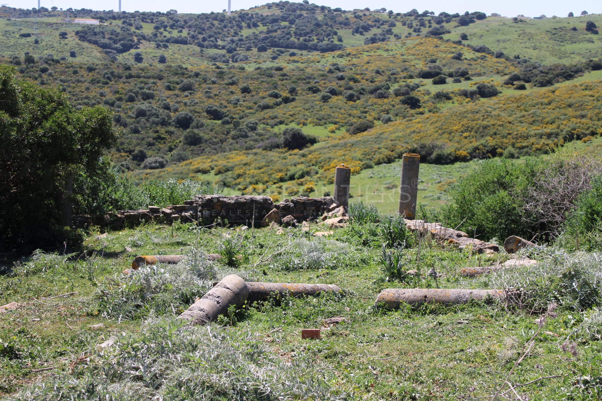 Finca à vendre en San Martin del Tesorillo