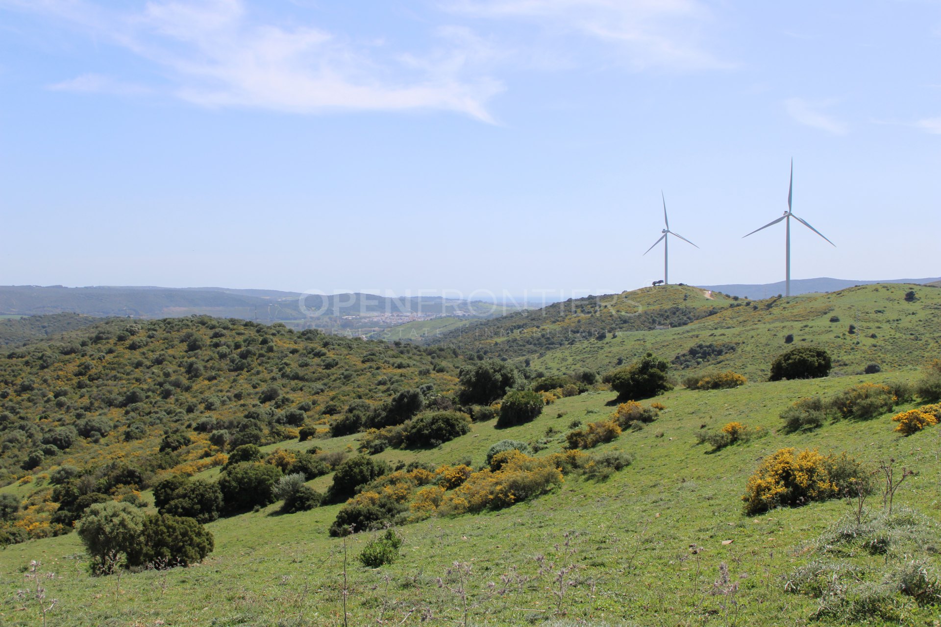 Finca à vendre en San Martin del Tesorillo