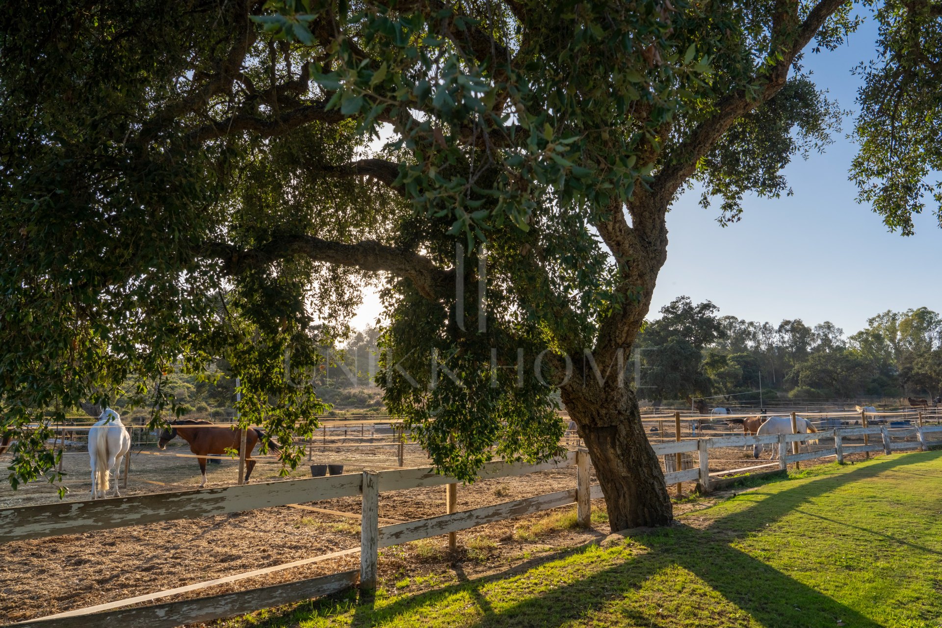 San Roque Club Plot for Sale