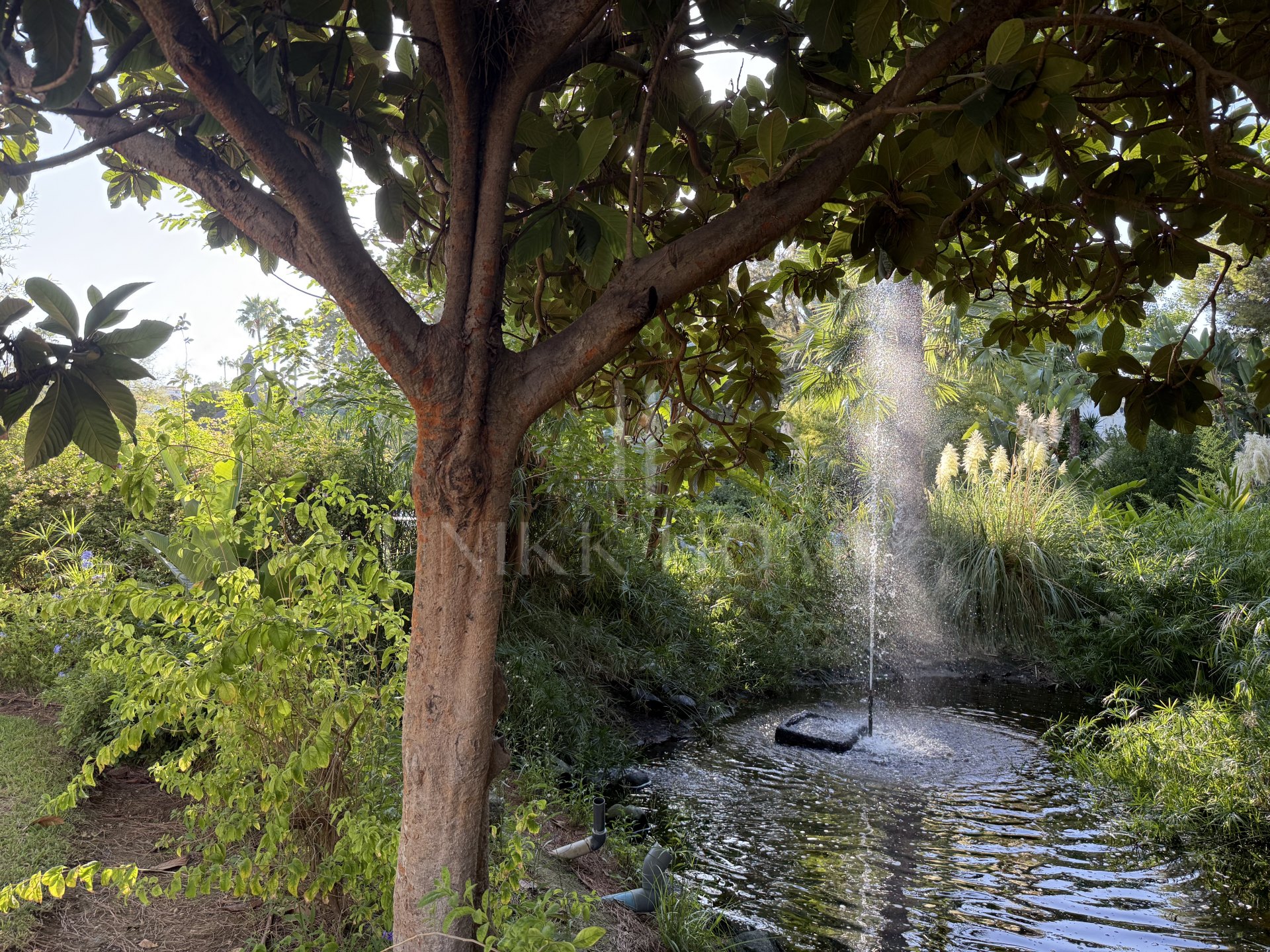Atico el Alhambra del golf de Guadalmina!
