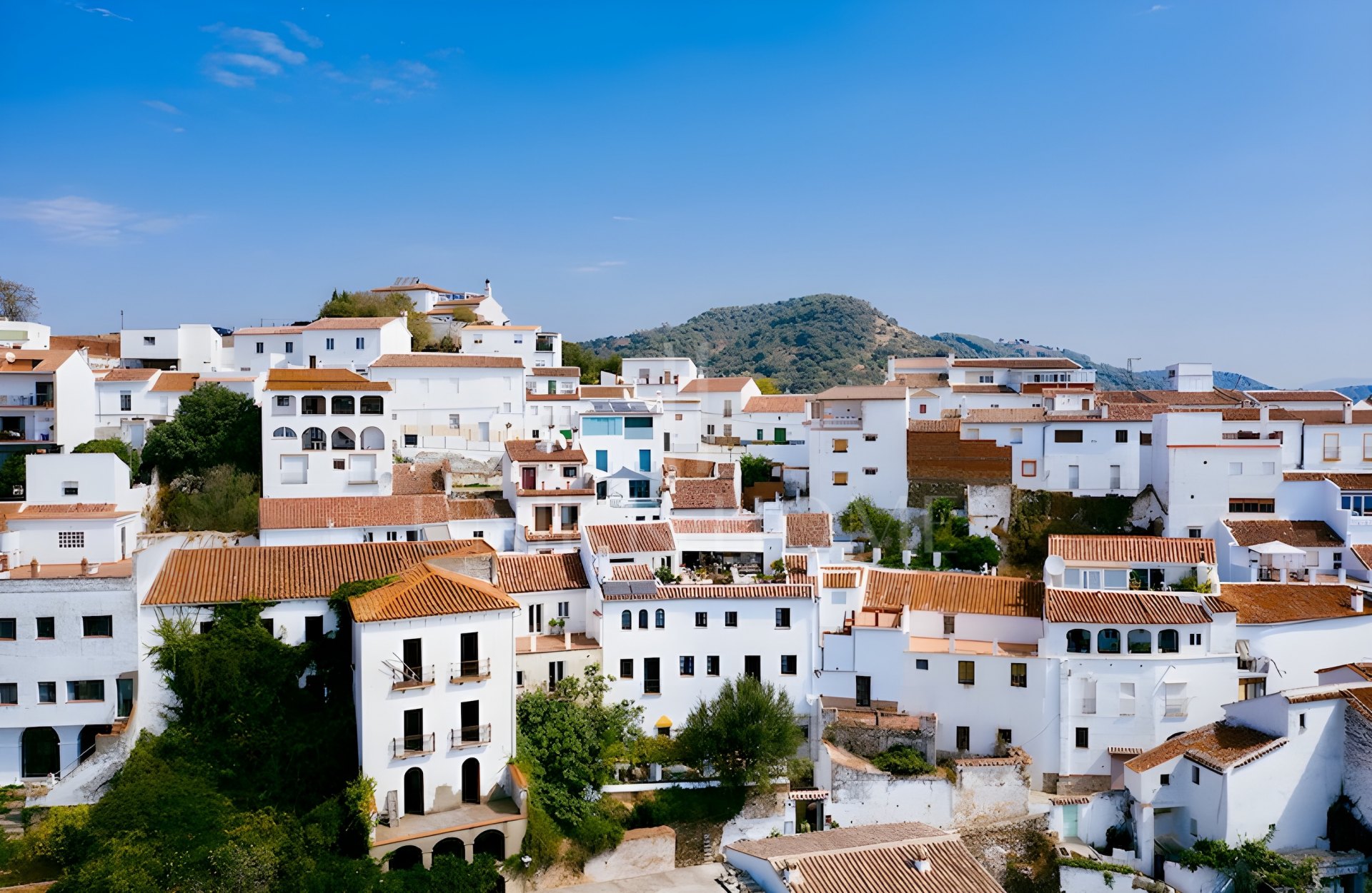 Hotel for sale in Gaucin