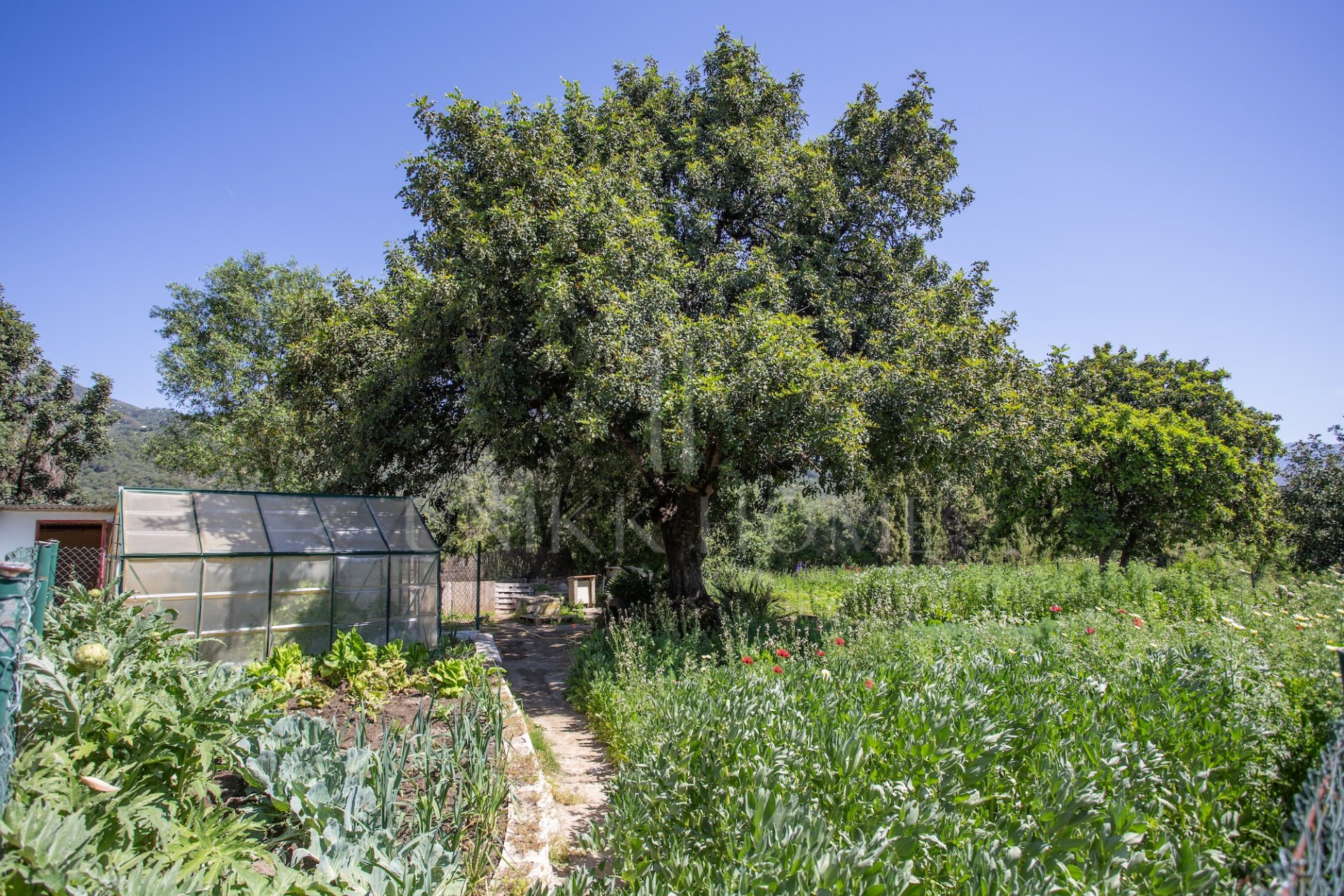 Elegant Country Estate in the Heart of Andalusia, Gaucín