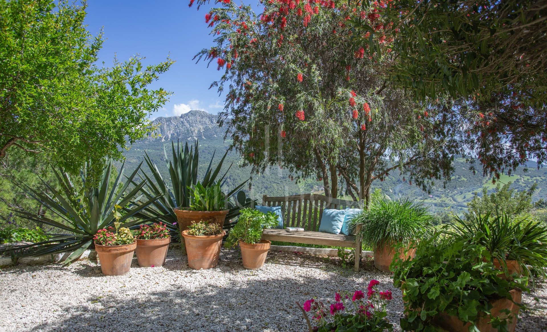 Elegant Country Estate in the Heart of Andalusia, Gaucín