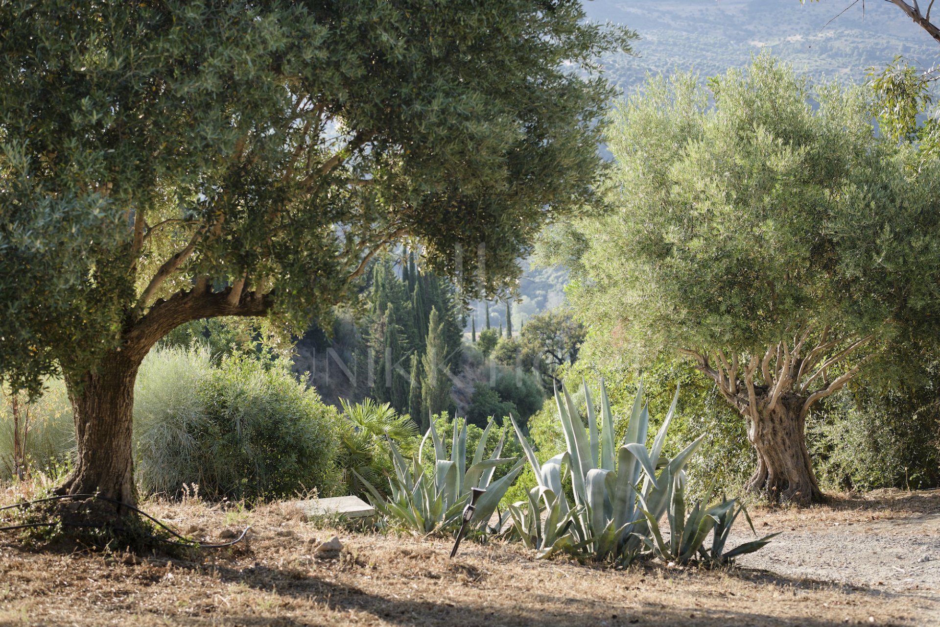 Elegant Country Estate in the Heart of Andalusia, Gaucín