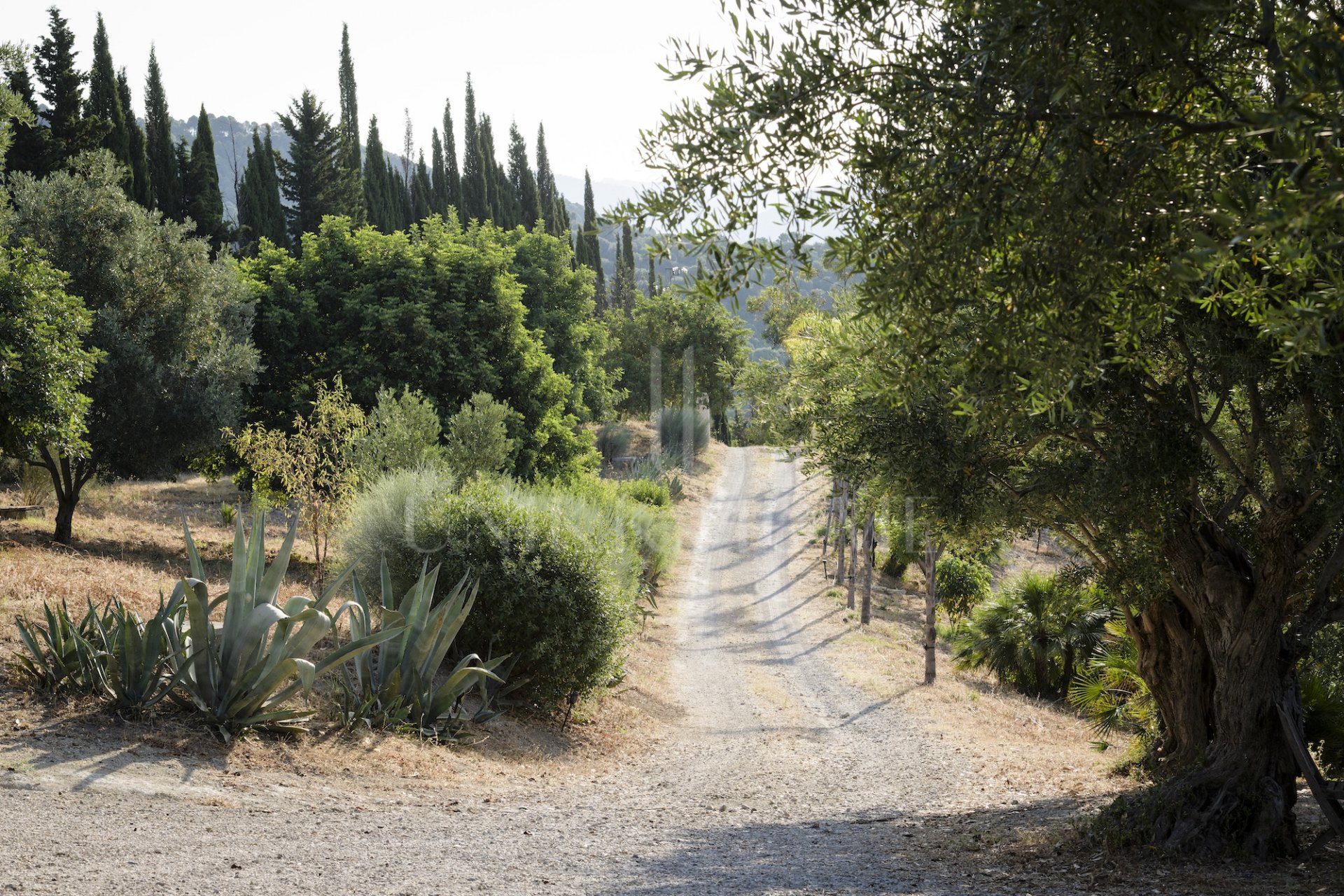Elegant Country Estate in the Heart of Andalusia, Gaucín