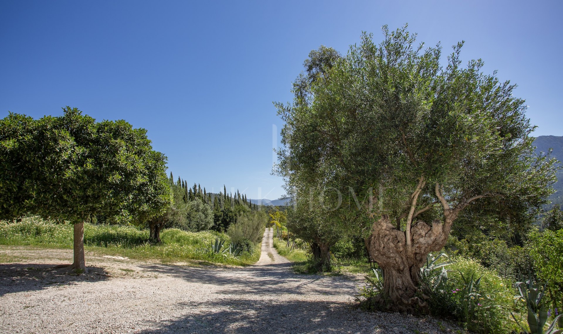 Elegant Country Estate in the Heart of Andalusia, Gaucín