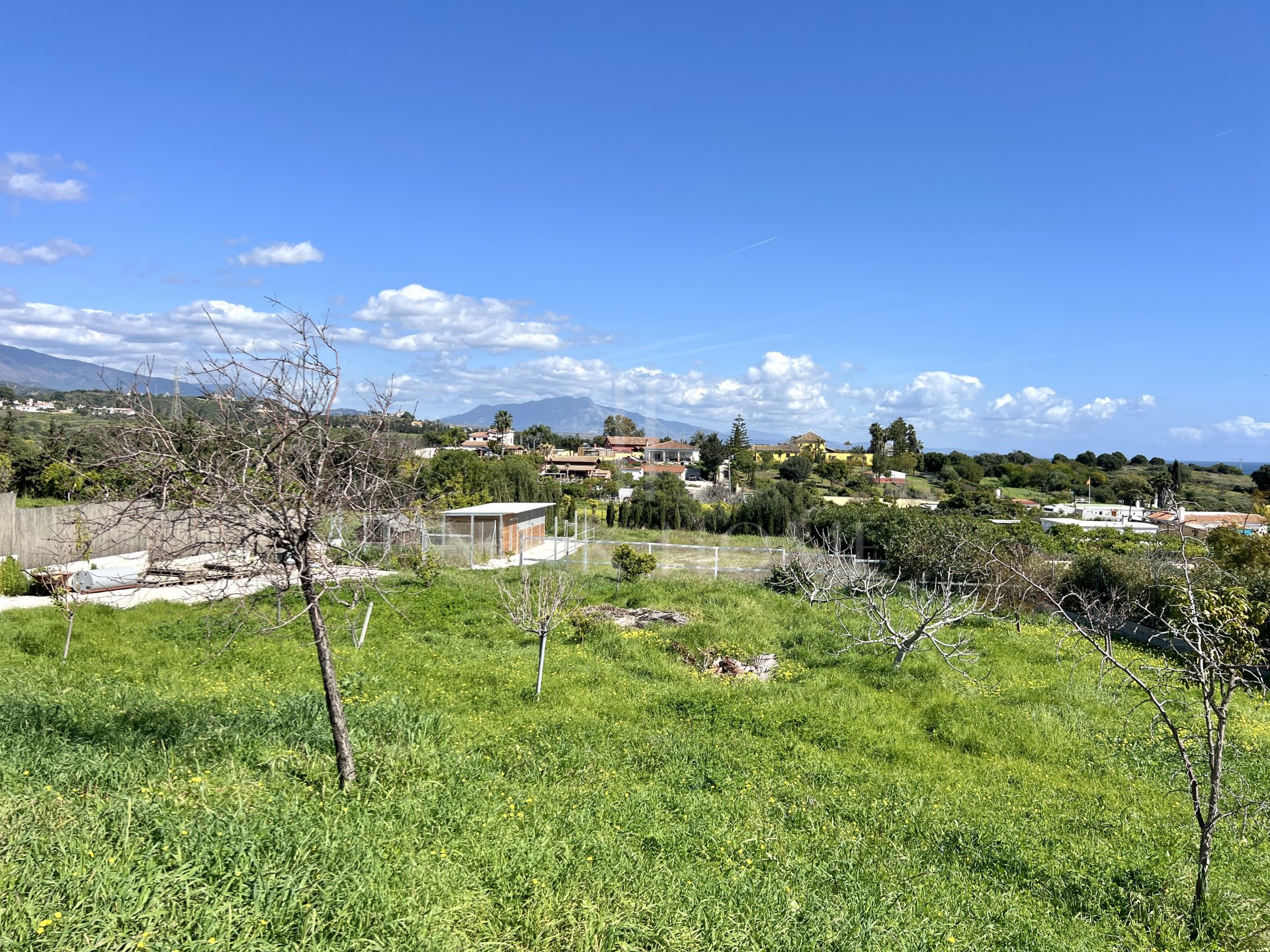 Impresionante finca de 3 dormitorios con cuadras para caballos en venta en Estepona