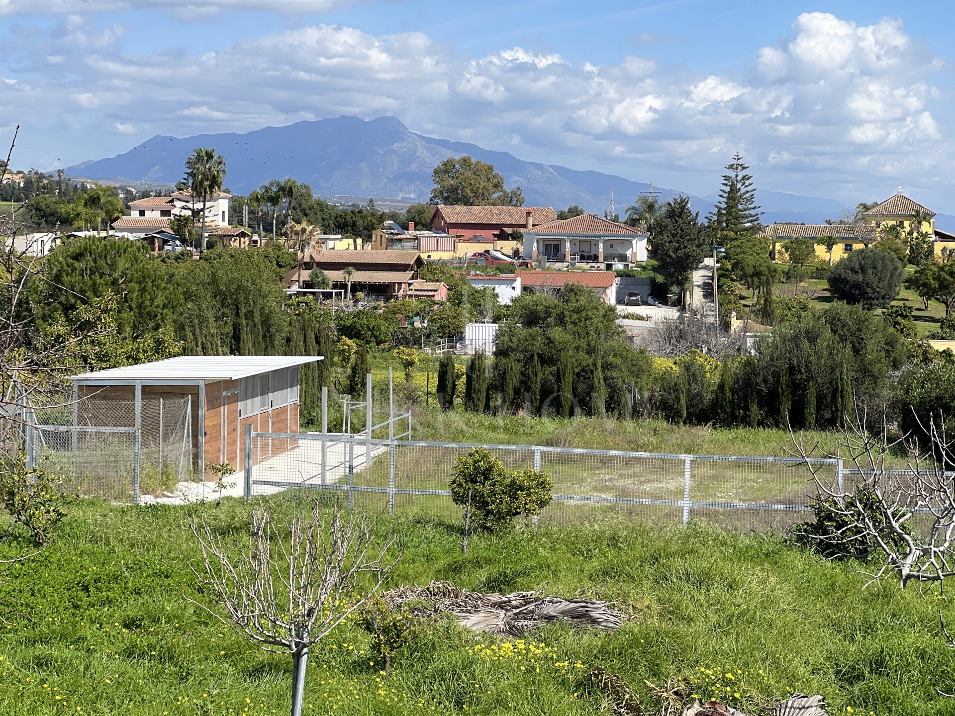 Impresionante finca de 3 dormitorios con cuadras para caballos en venta en Estepona