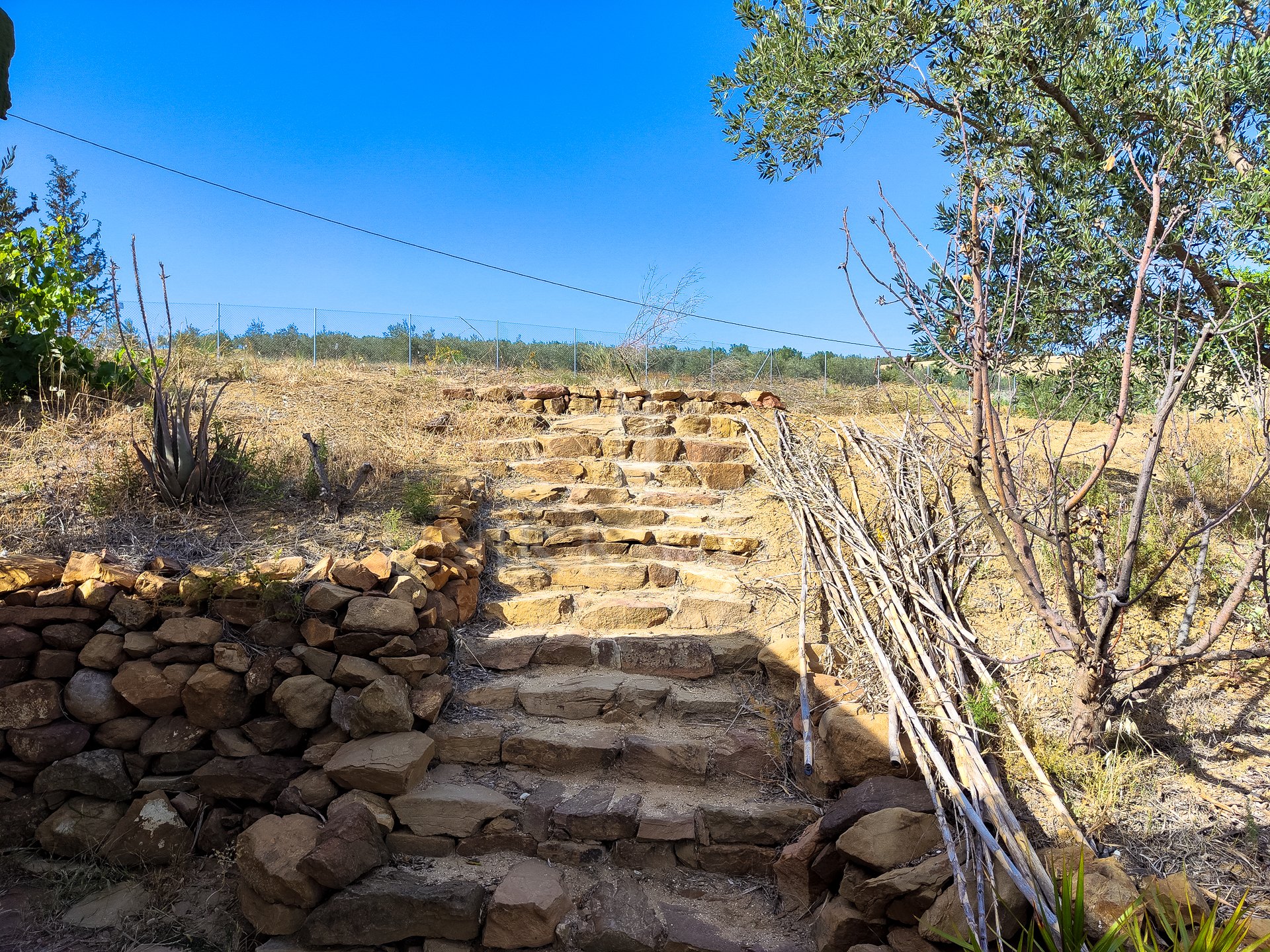 Plot: La Jara