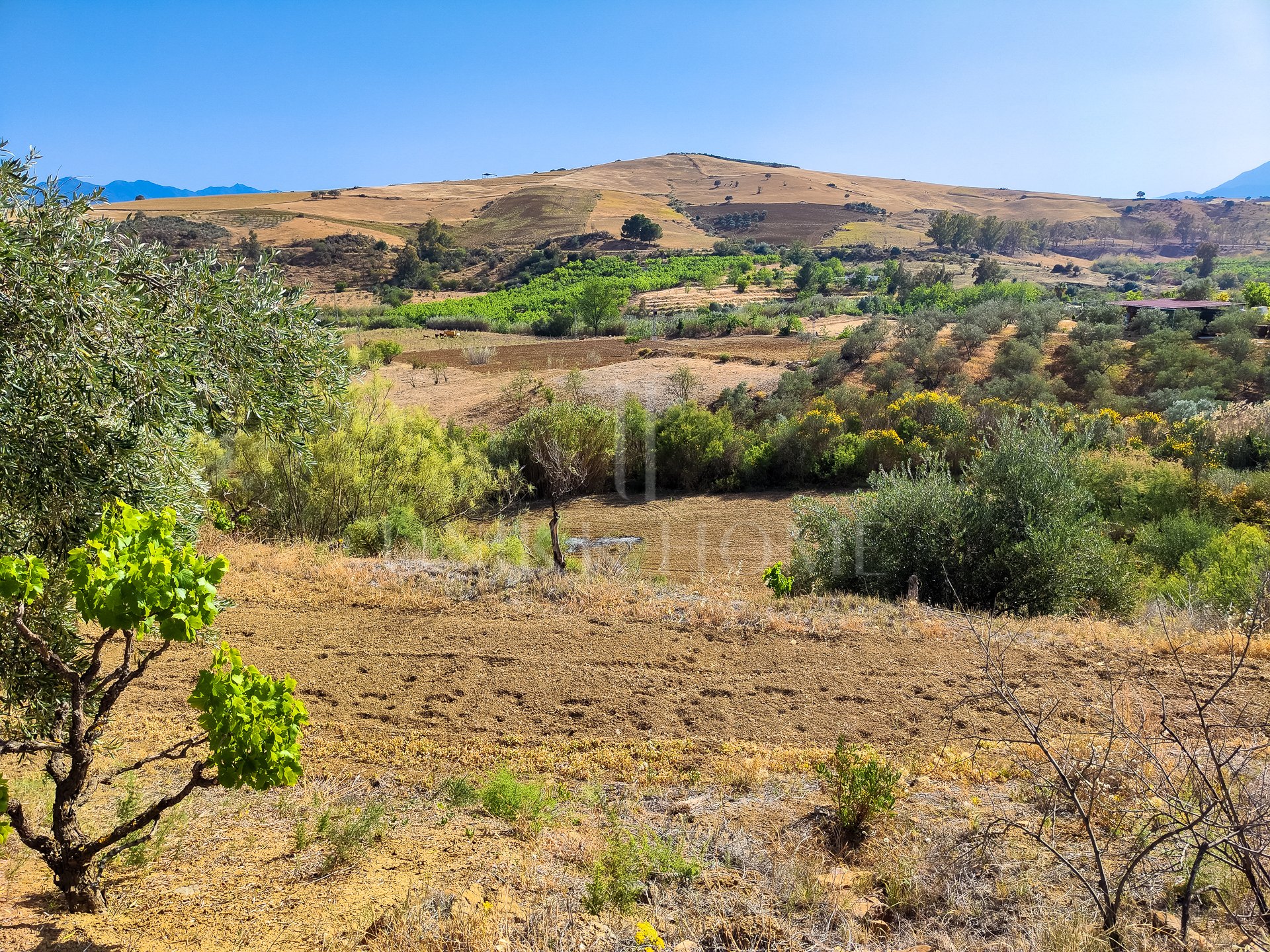 Plot: La Jara