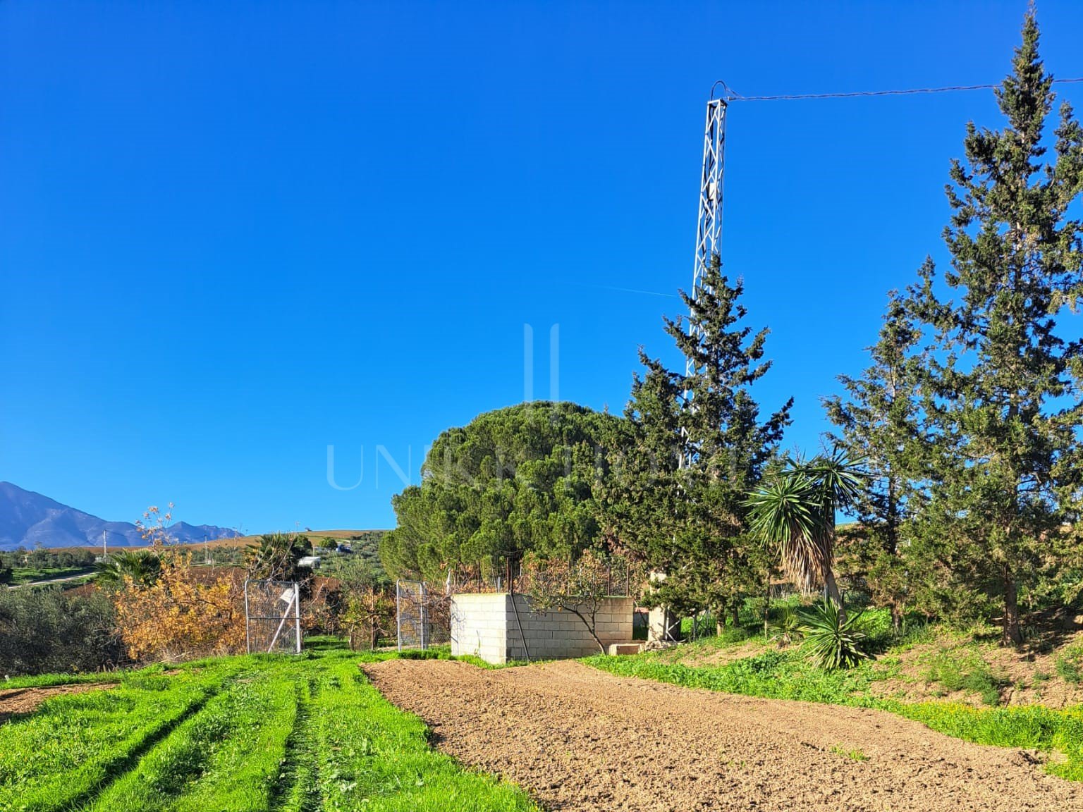 Plot for sale in Coin