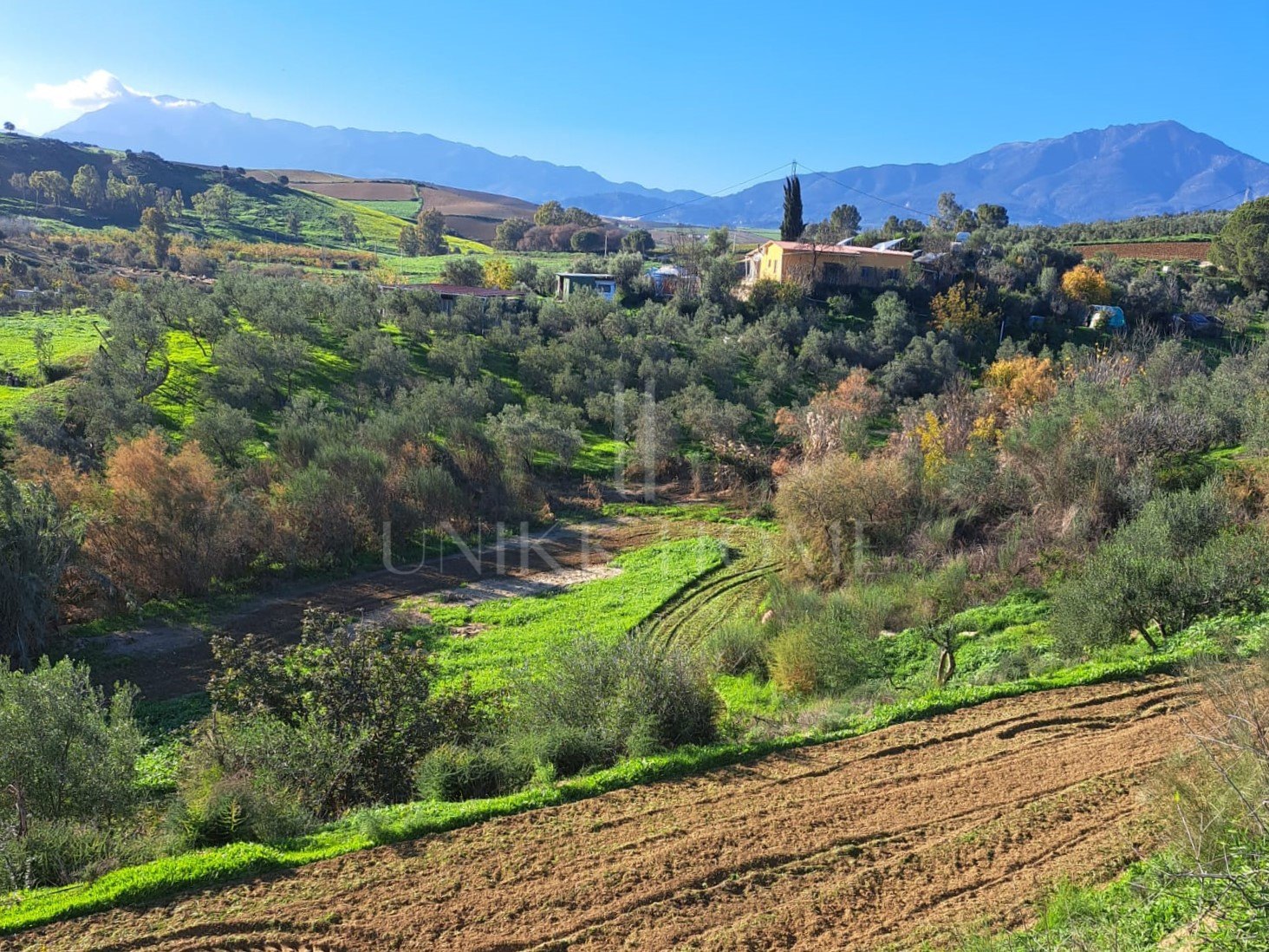 Plot for sale in Coin