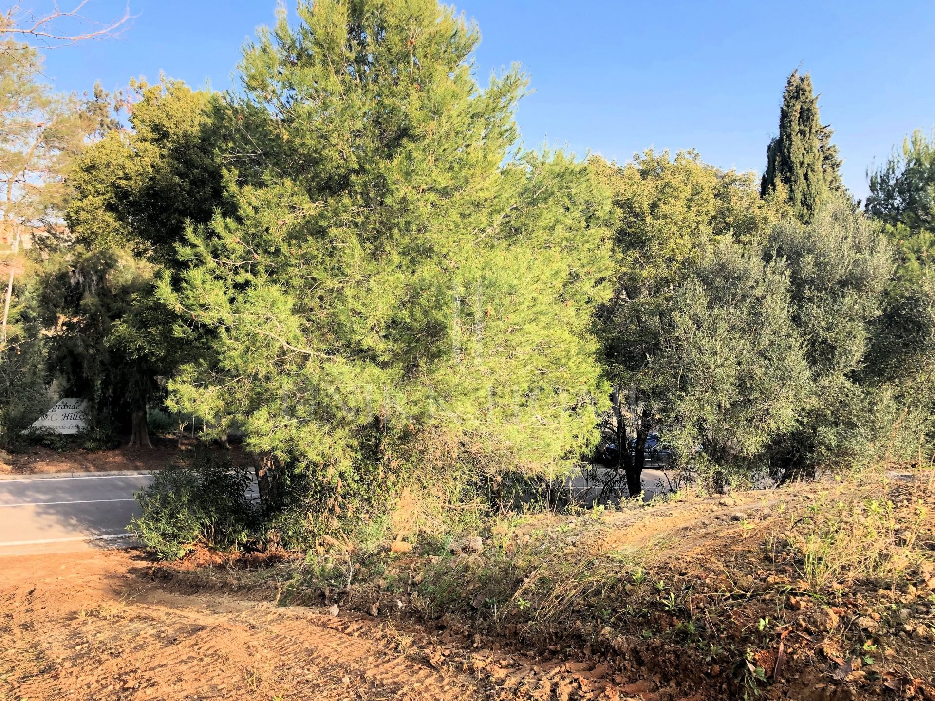 Parcela en venta en Sotogrande Alto