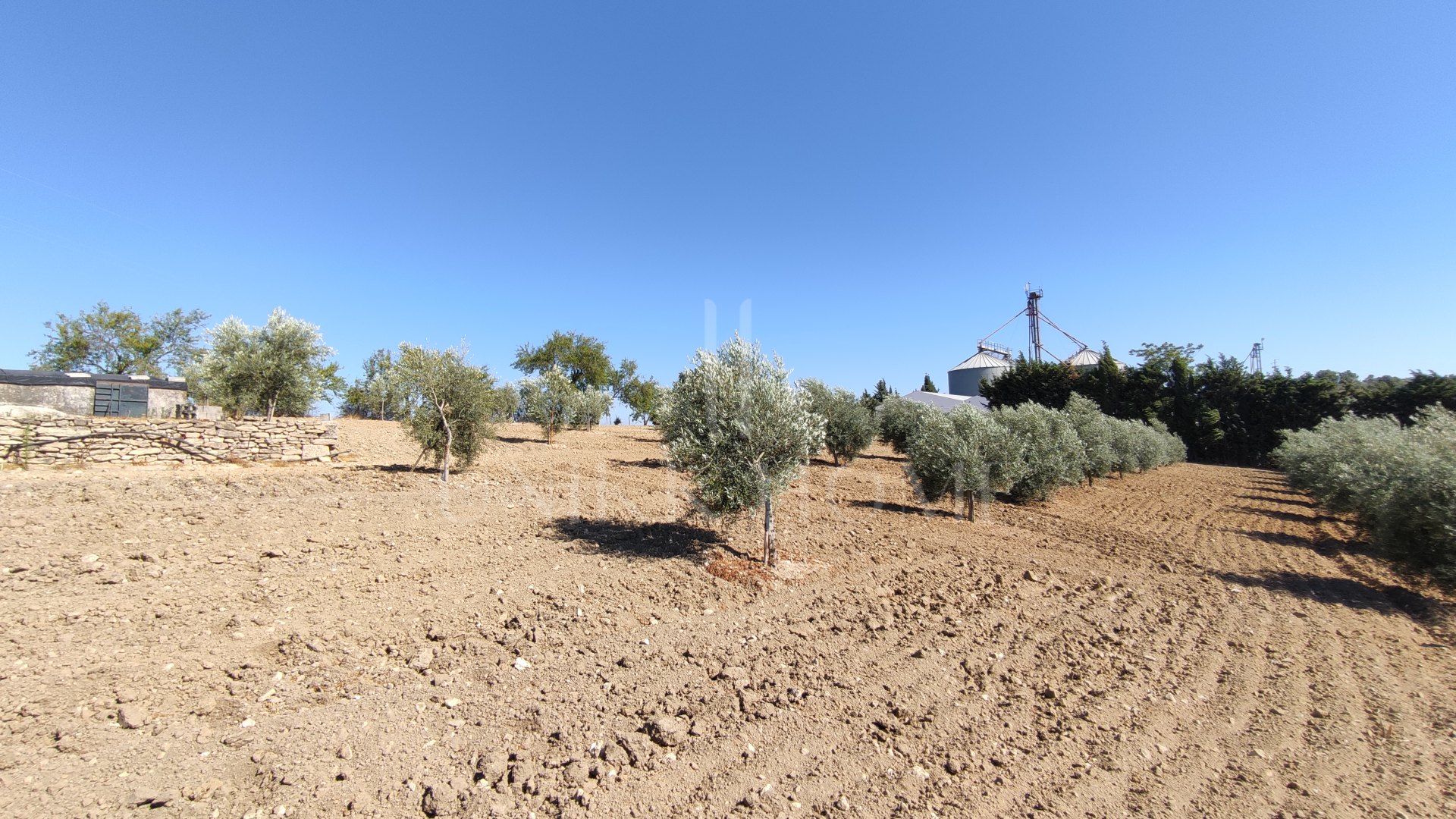 Rustic property in Ronda