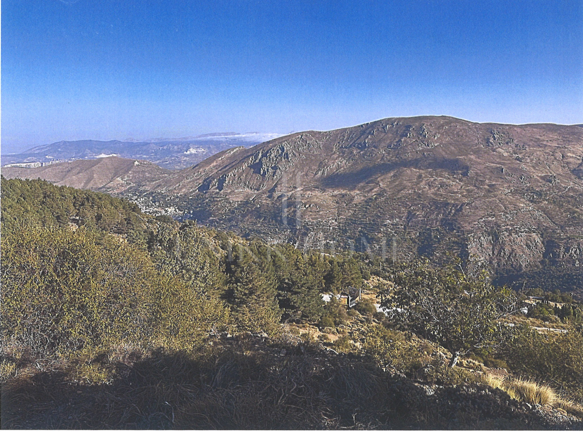 Tourism asset in Sierra Nevada – 3.1 ha with building permit granted