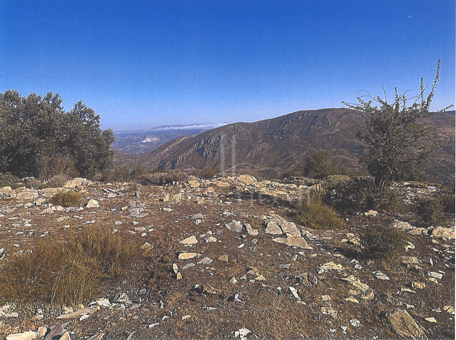 Tourism asset in Sierra Nevada – 3.1 ha with building permit granted