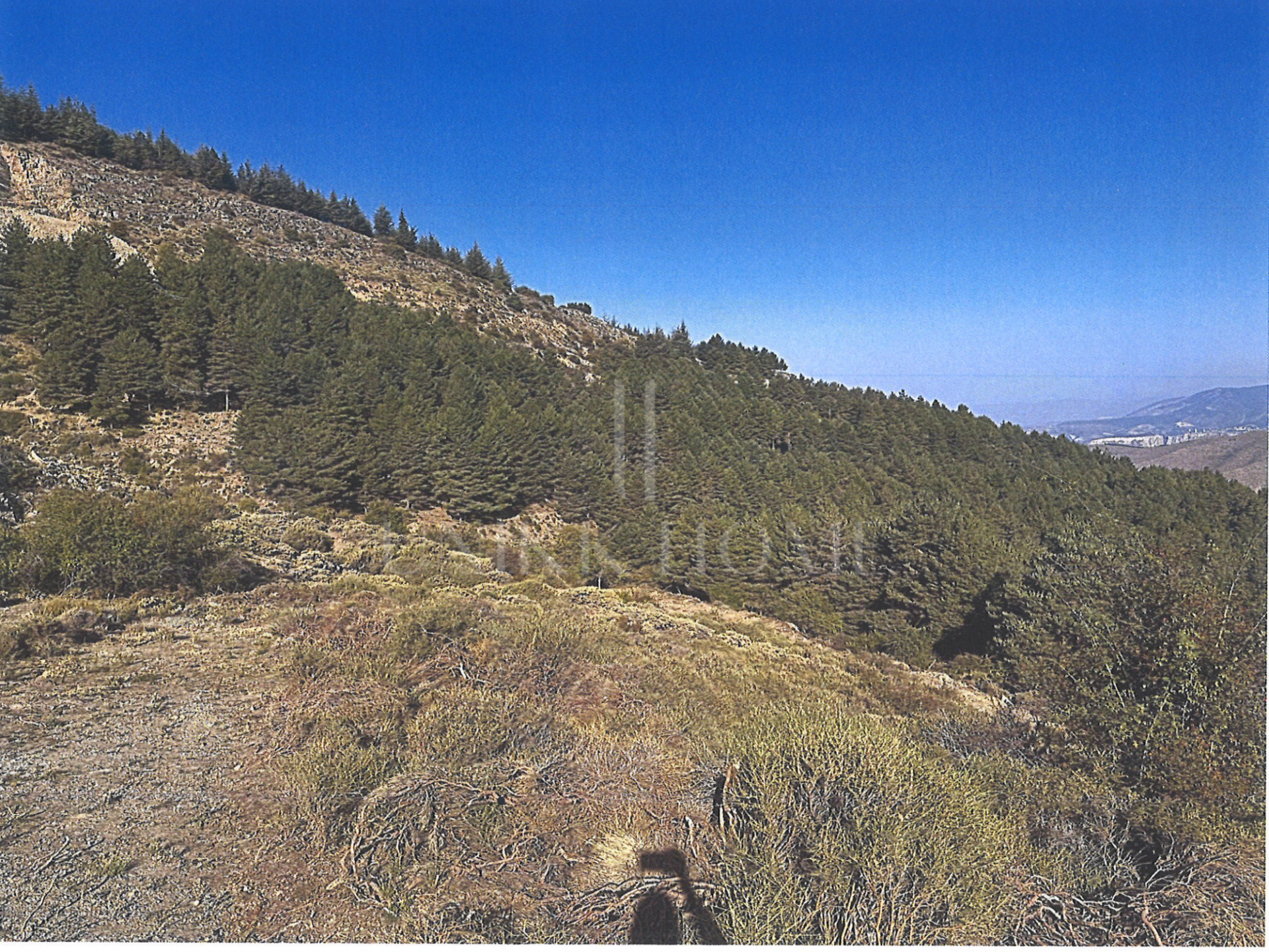 Tourism asset in Sierra Nevada – 3.1 ha with building permit granted