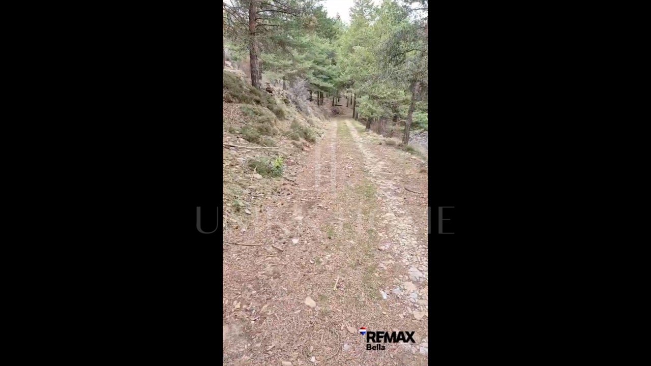 Tourism asset in Sierra Nevada – 3.1 ha with building permit granted