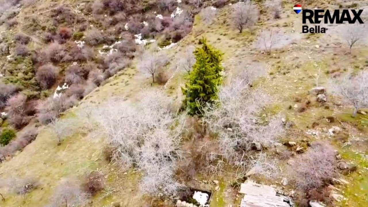 Tourism asset in Sierra Nevada – 3.1 ha with building permit granted