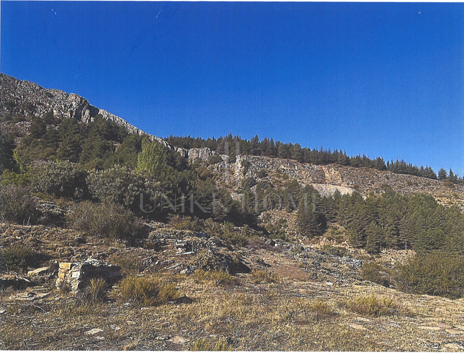 Tourism asset in Sierra Nevada – 3.1 ha with building permit granted