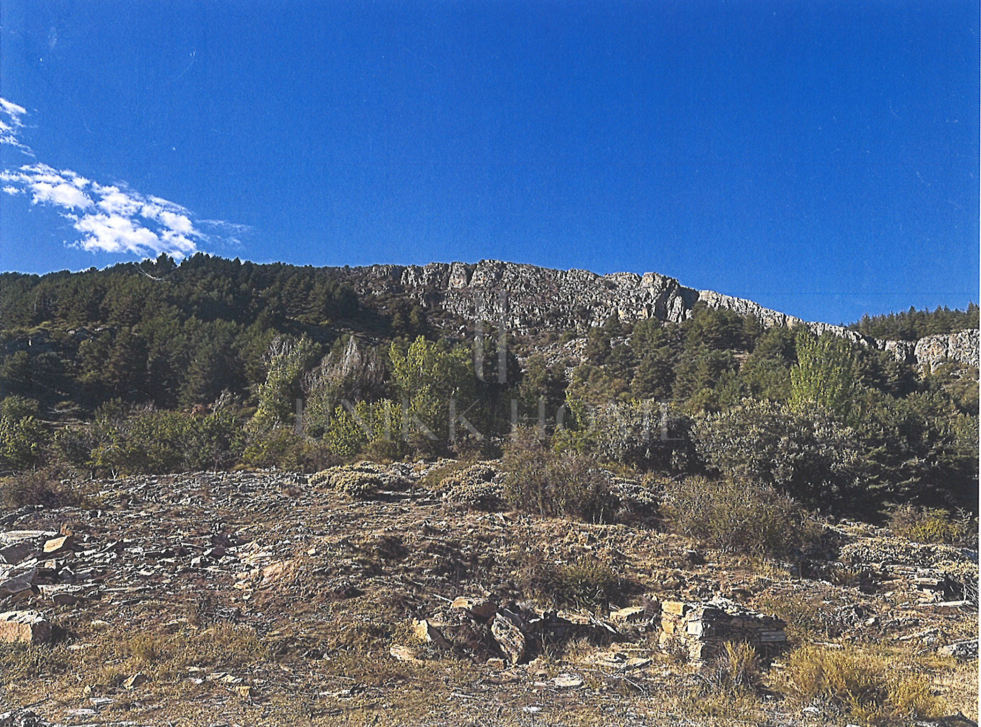 Tourism asset in Sierra Nevada – 3.1 ha with building permit granted