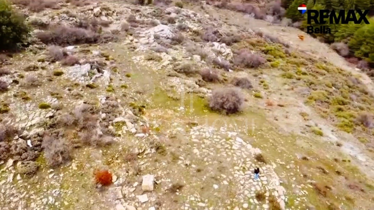 Tourism asset in Sierra Nevada – 3.1 ha with building permit granted