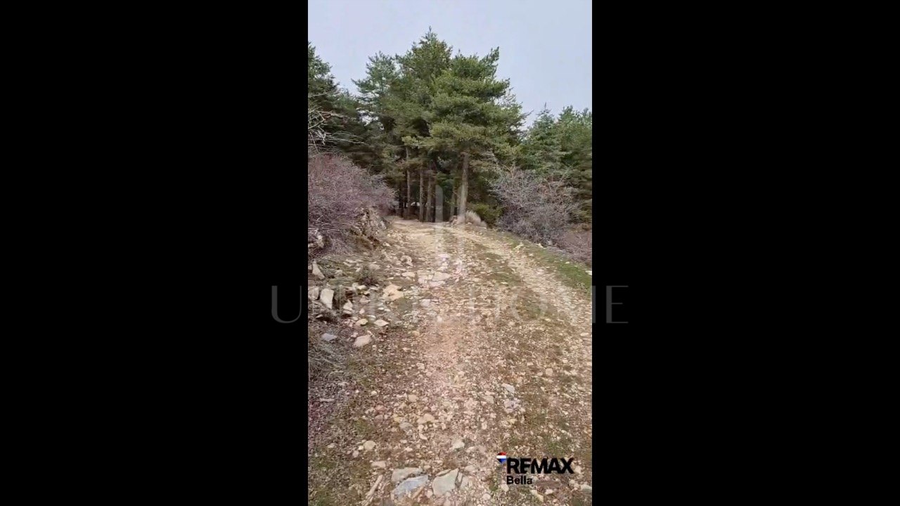 Tourism asset in Sierra Nevada – 3.1 ha with building permit granted