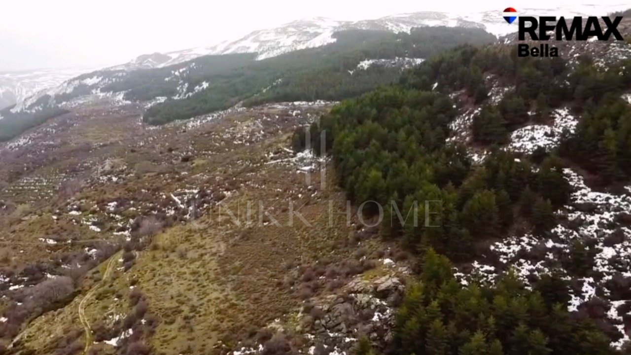 Tourism asset in Sierra Nevada – 3.1 ha with building permit granted