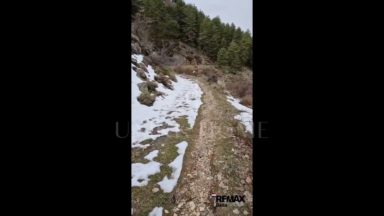 Tourism asset in Sierra Nevada – 3.1 ha with building permit granted