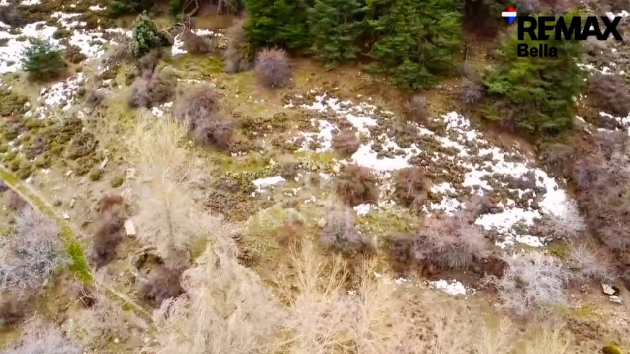 Tourism asset in Sierra Nevada – 3.1 ha with building permit granted