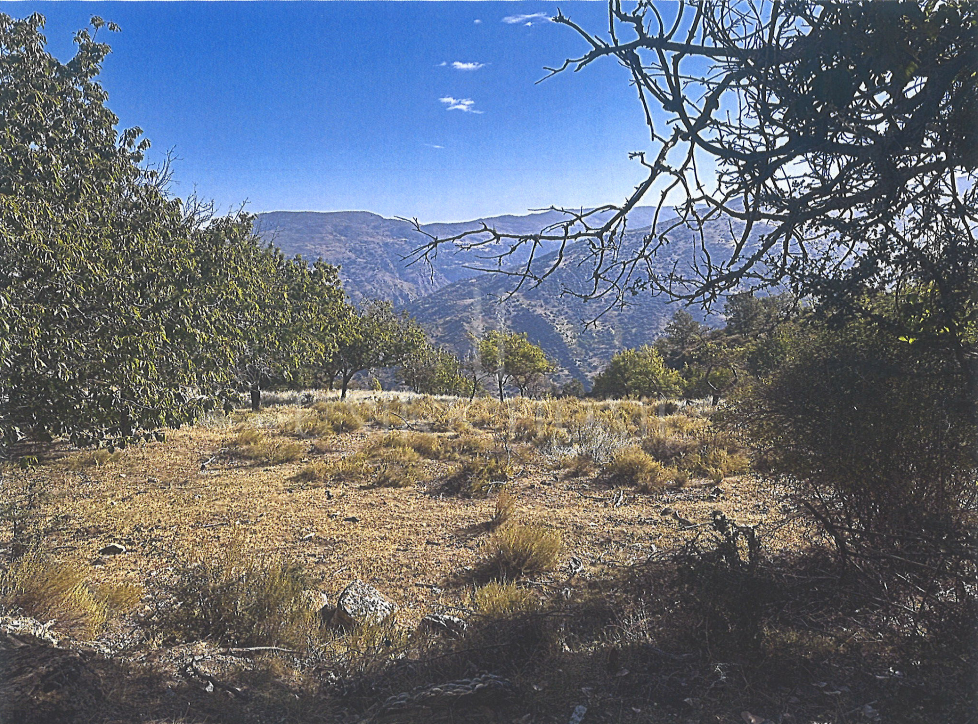 Tourism asset in Sierra Nevada – 3.1 ha with building permit granted