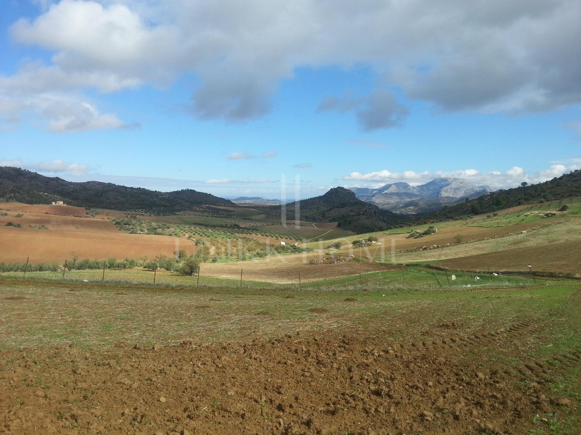 Impressive country estate close to Málaga, possibility to build