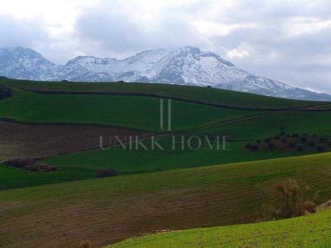 Impressive country estate close to Málaga, possibility to build