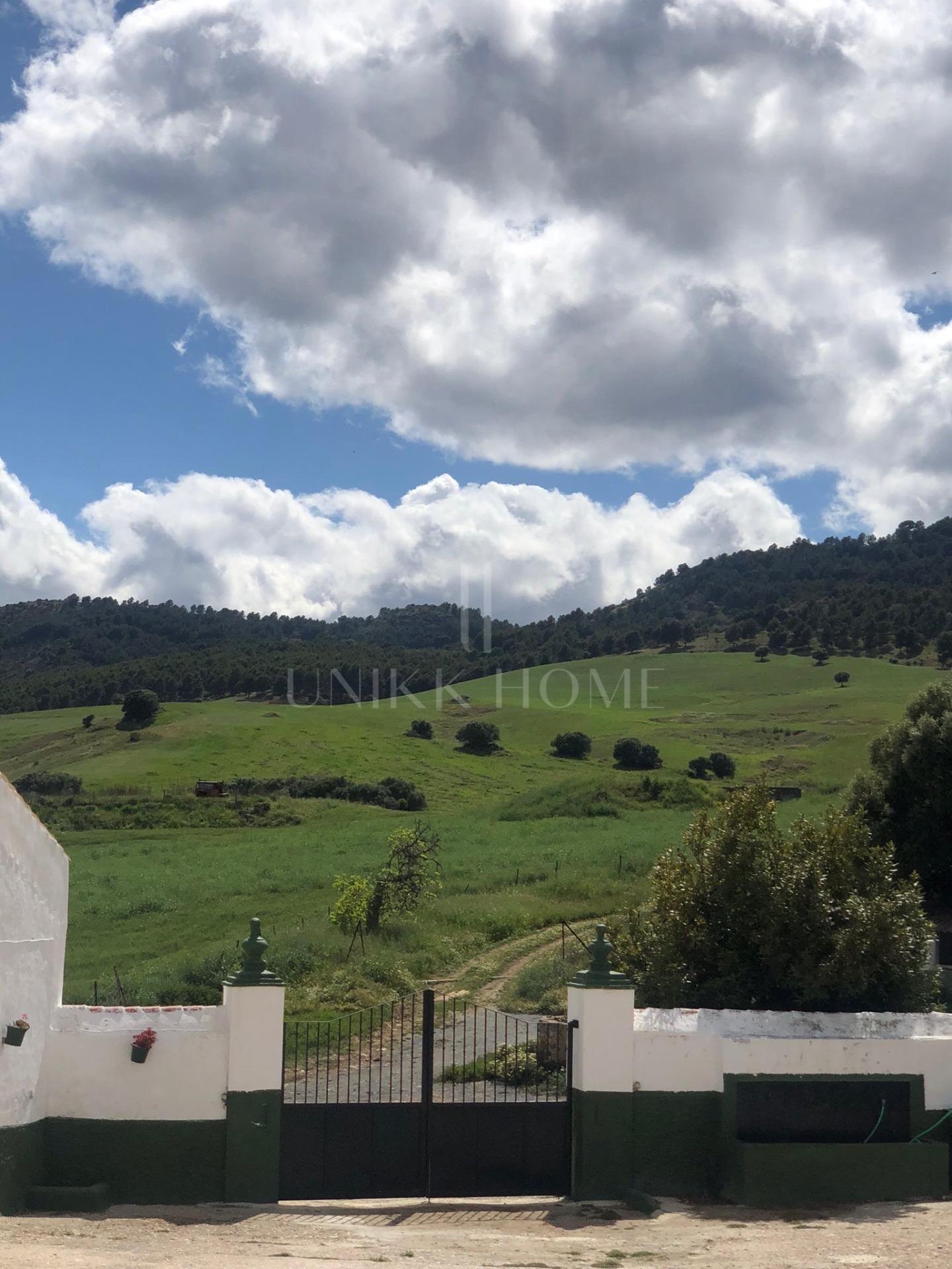 Impressive country estate close to Málaga, possibility to build