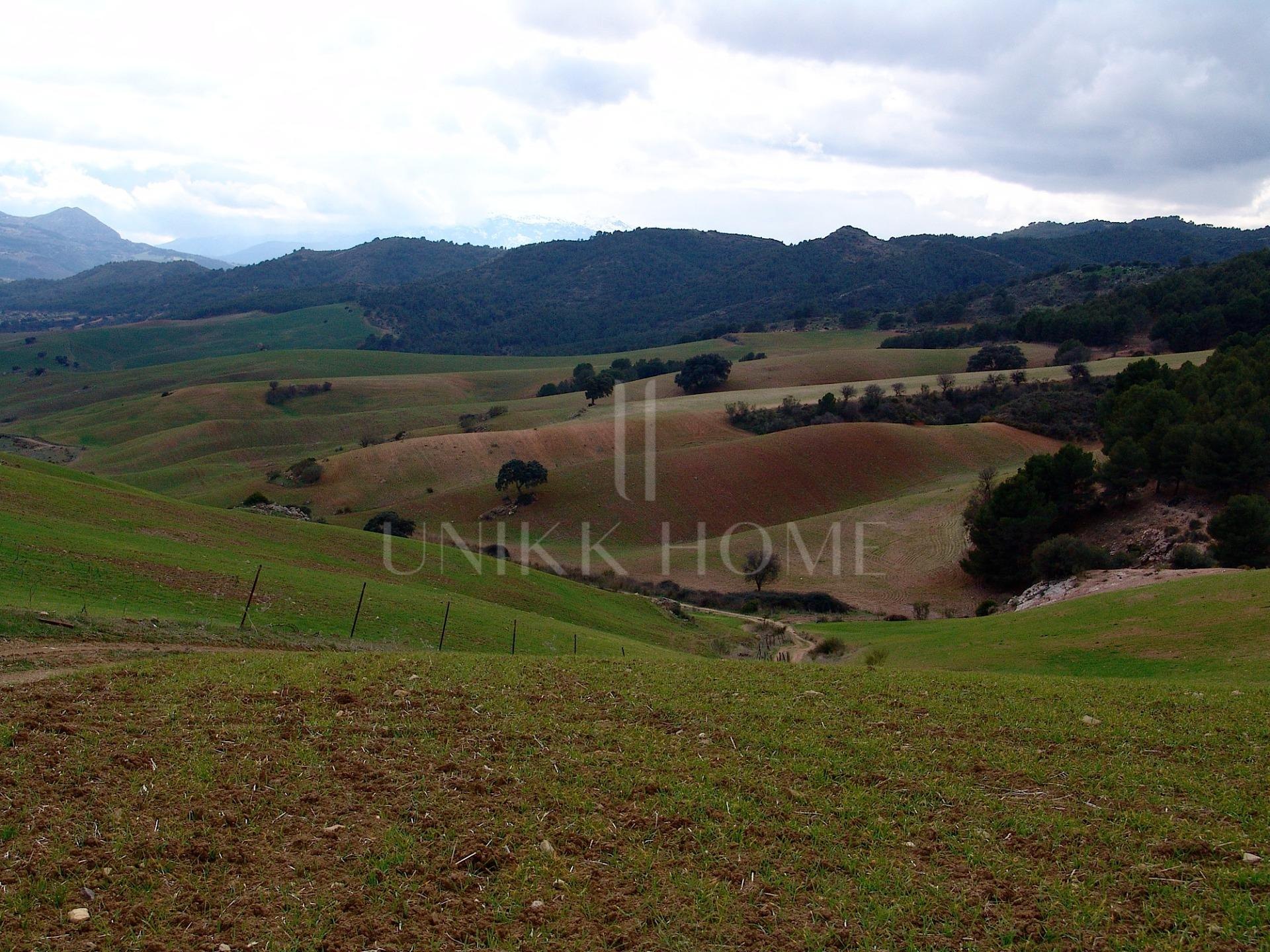 Impressive country estate close to Málaga, possibility to build