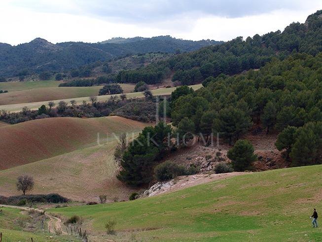 Impressive country estate close to Málaga, possibility to build