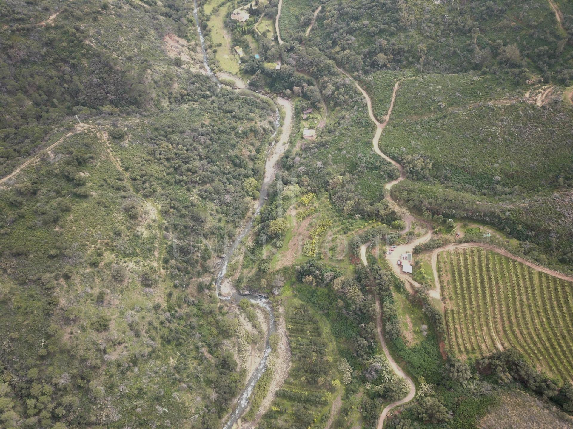 Exclusiva finca rústica en Estepona – 59 hectáreas de privacidad, naturaleza y alto potencial de inversión.