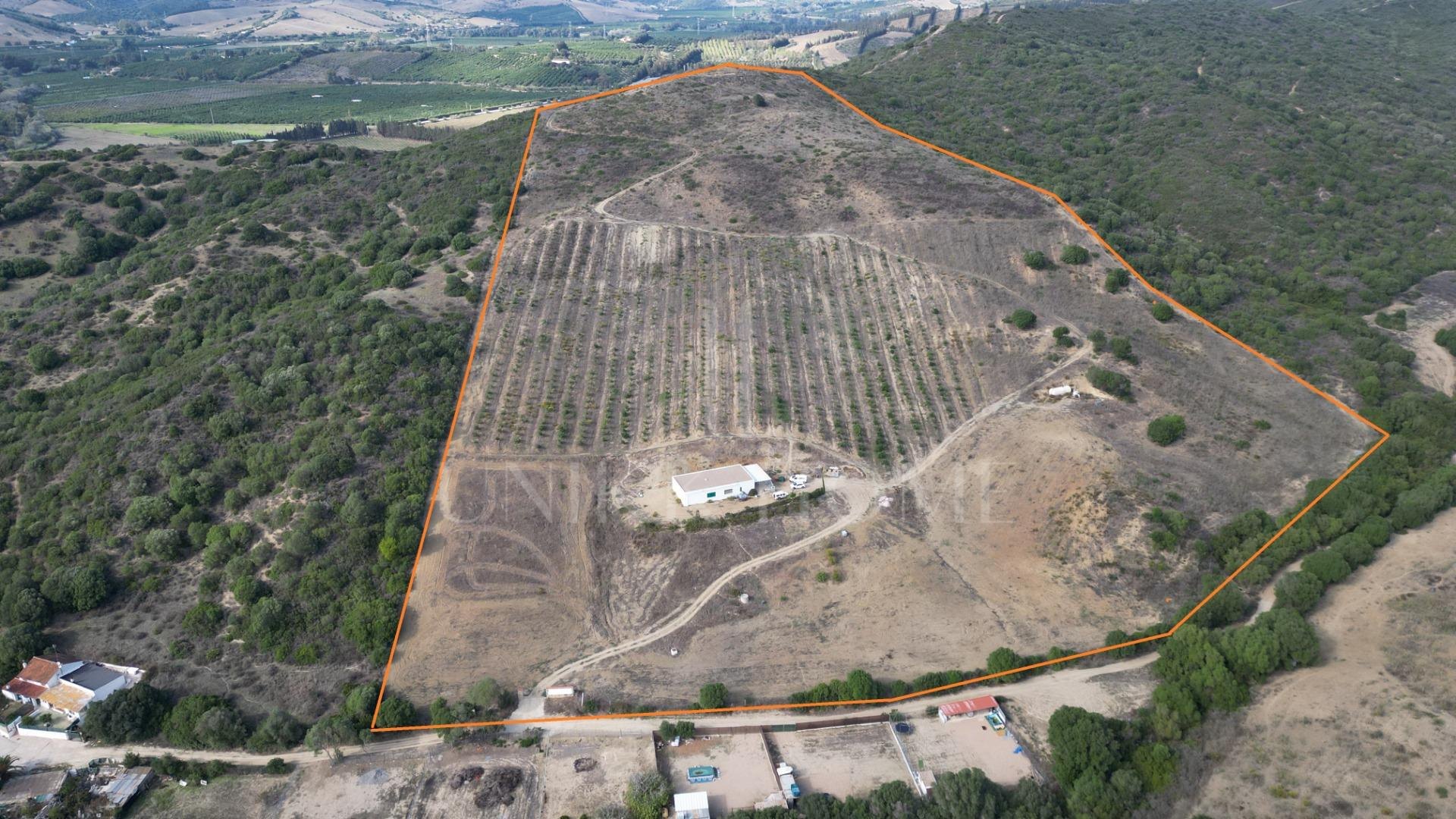 Terreno en HONDA CABADA, MANILVA, MALAGA