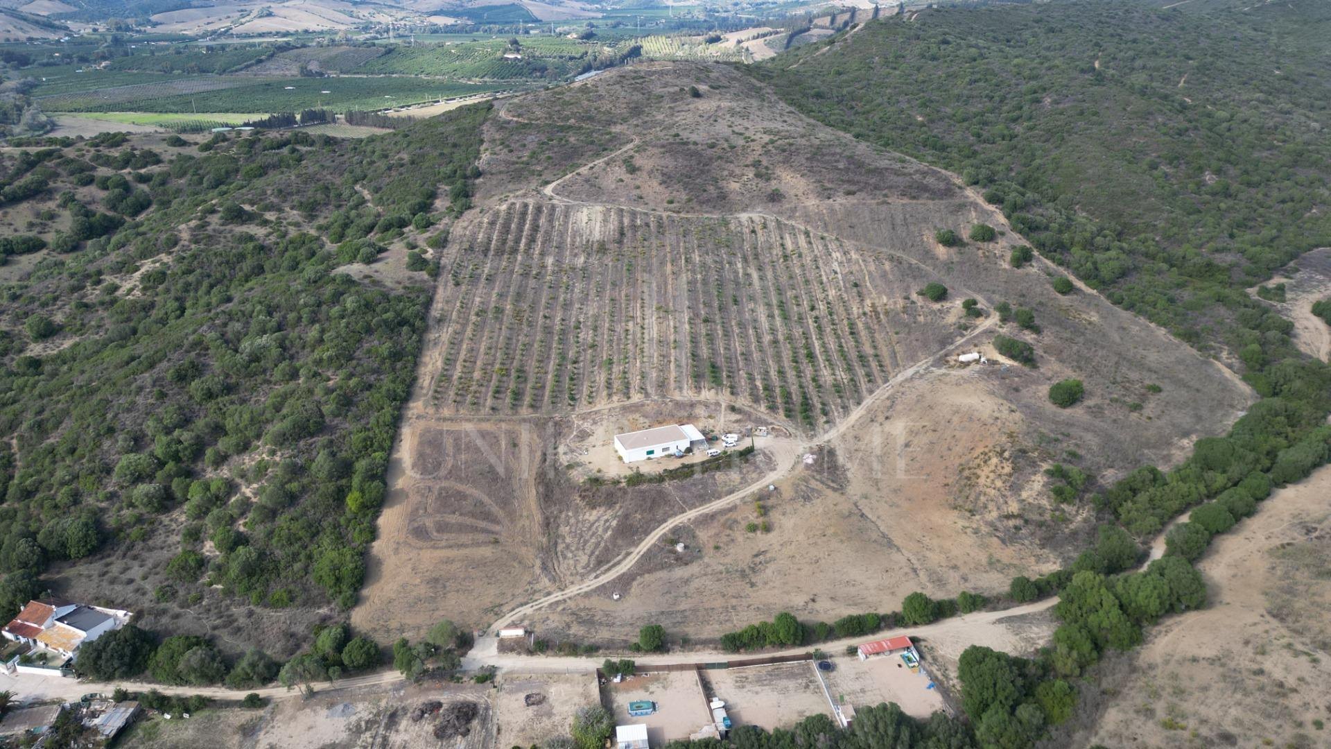 Terreno en HONDA CABADA, MANILVA, MALAGA