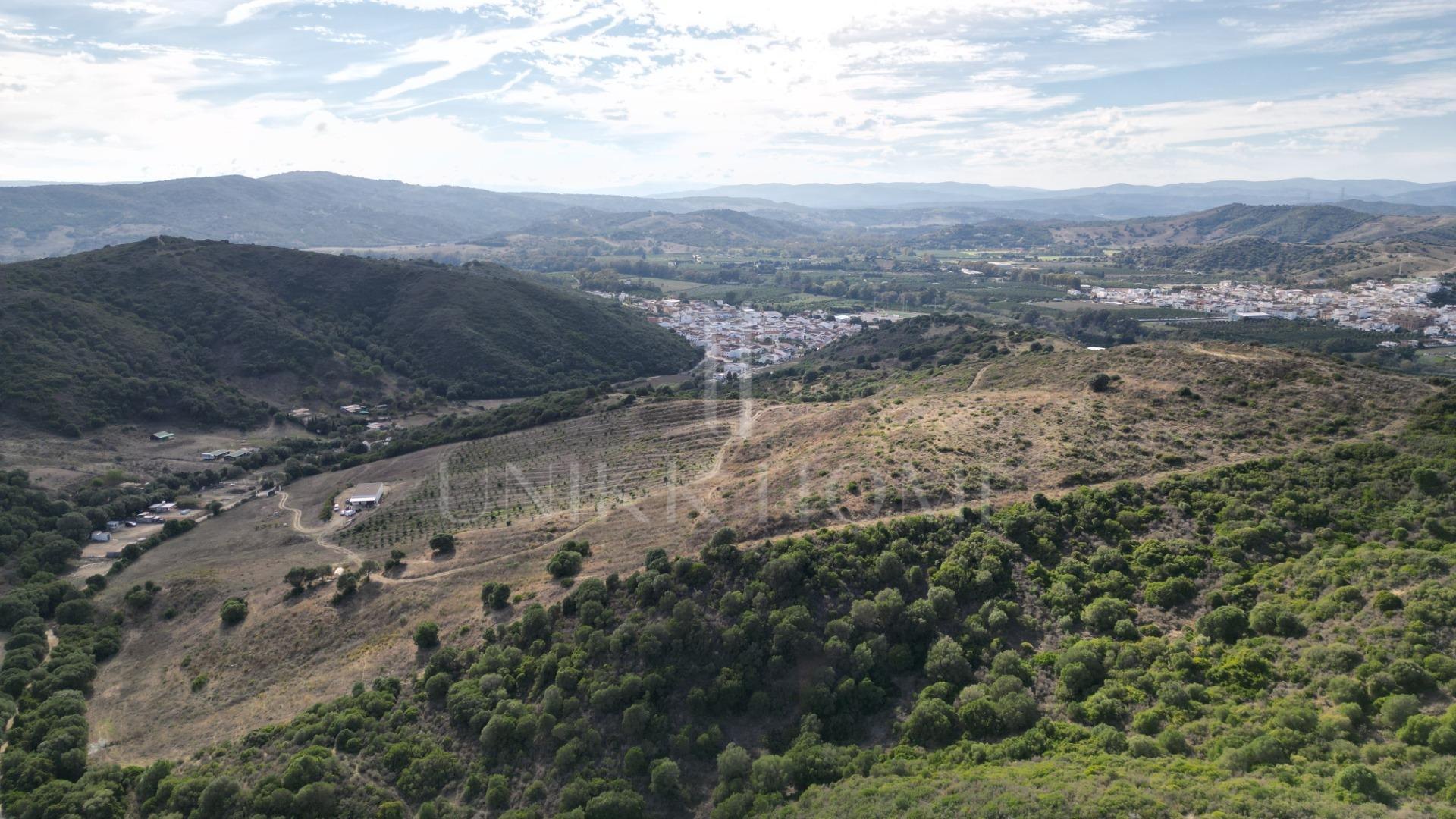 Terreno en HONDA CABADA, MANILVA, MALAGA
