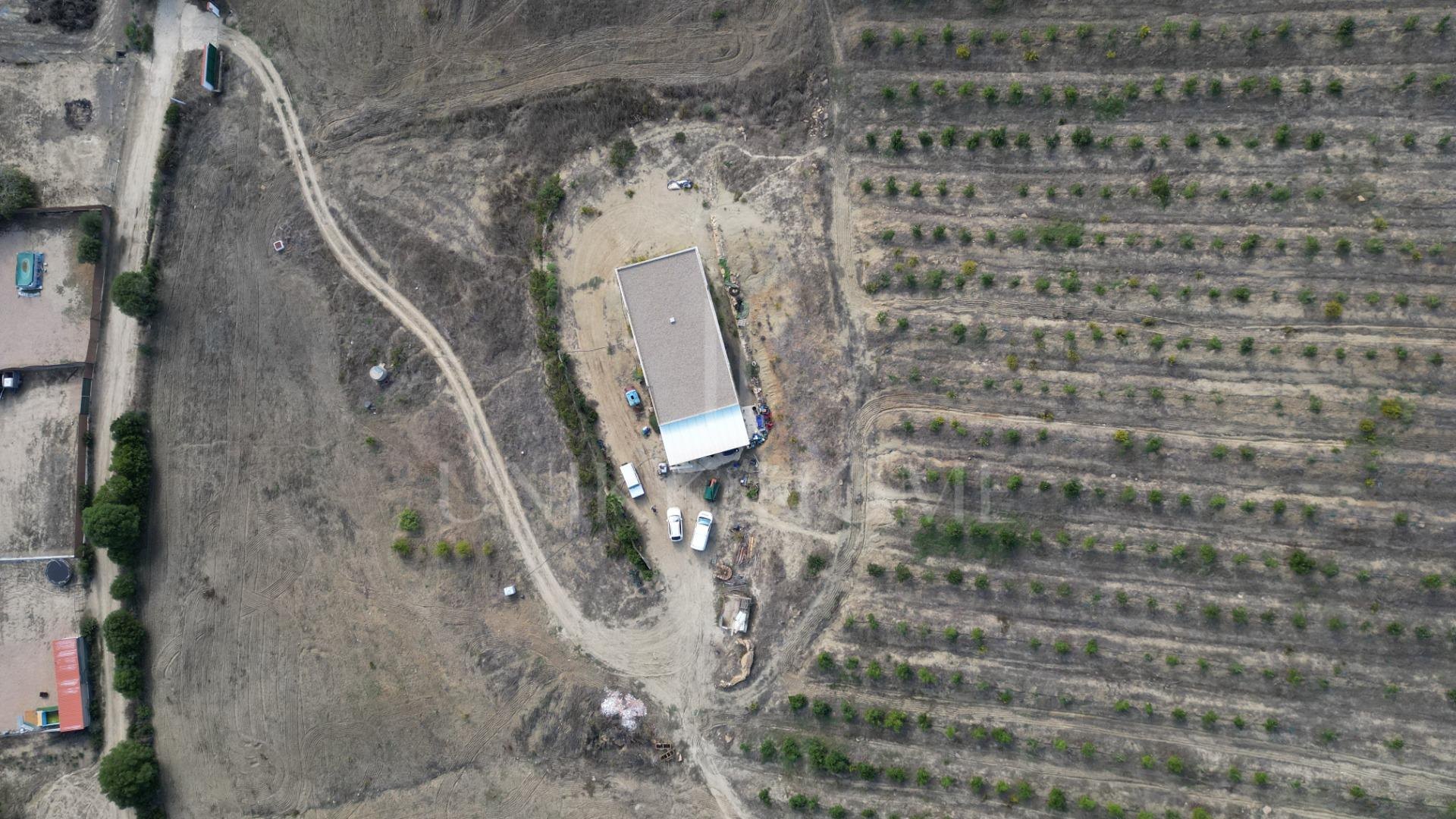Terreno en HONDA CABADA, MANILVA, MALAGA