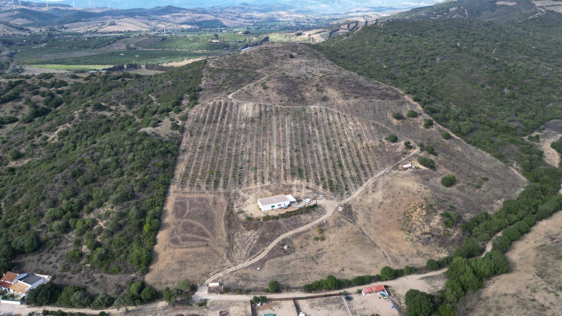 Terreno en HONDA CABADA, MANILVA, MALAGA