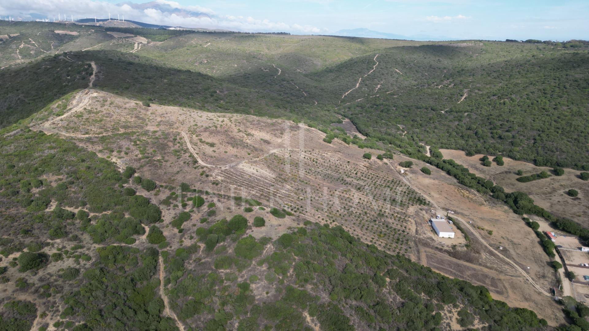 Terreno en HONDA CABADA, MANILVA, MALAGA