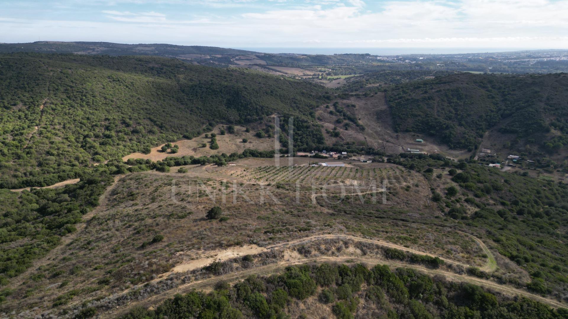 Terreno en HONDA CABADA, MANILVA, MALAGA