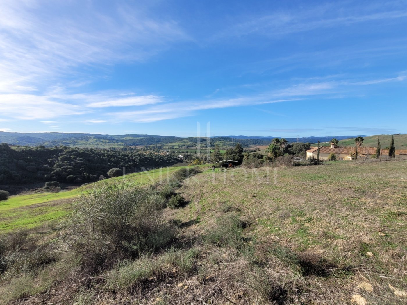 Propiedad de campo (caballos) 6 dorm muy cerca de Sotogrande.