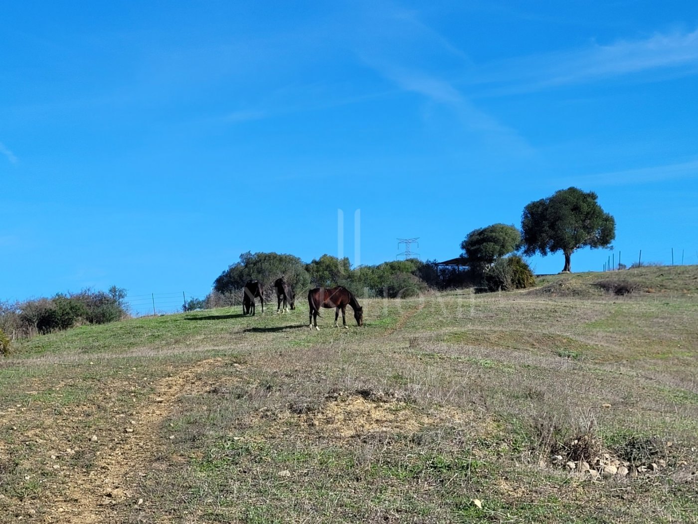 Propiedad de campo (caballos) 6 dorm muy cerca de Sotogrande.