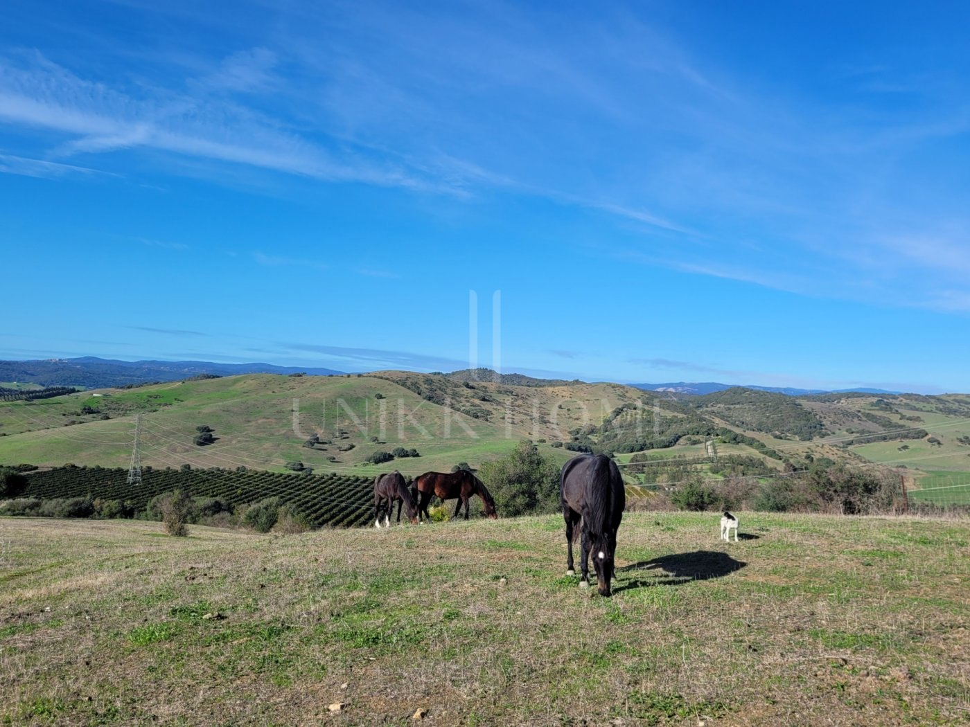 Propiedad de campo (caballos) 6 dorm muy cerca de Sotogrande.