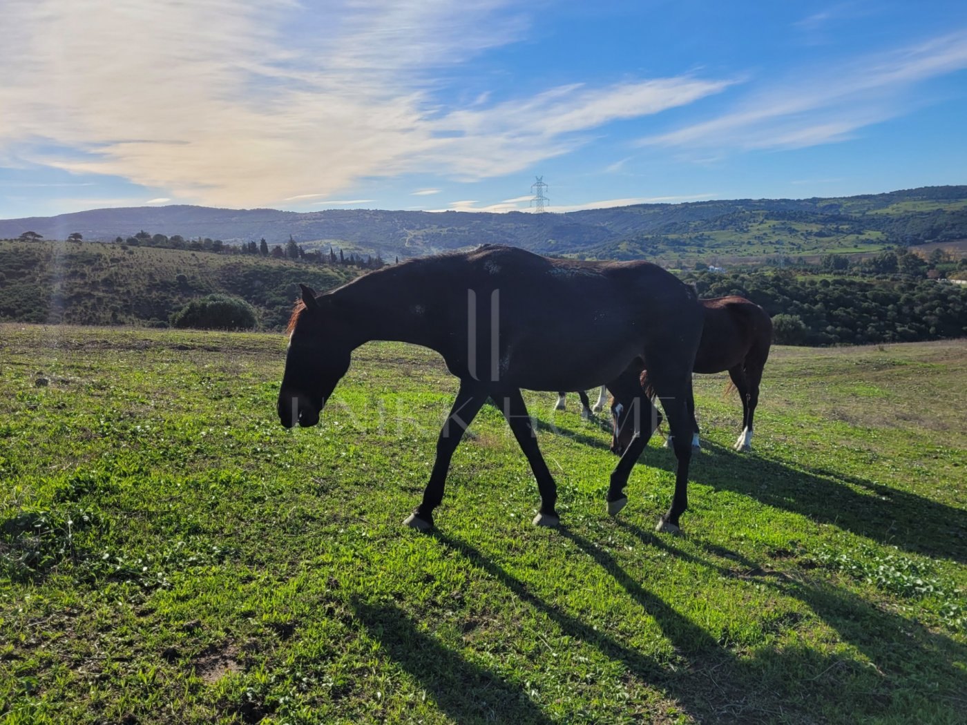 Propiedad de campo (caballos) 6 dorm muy cerca de Sotogrande.