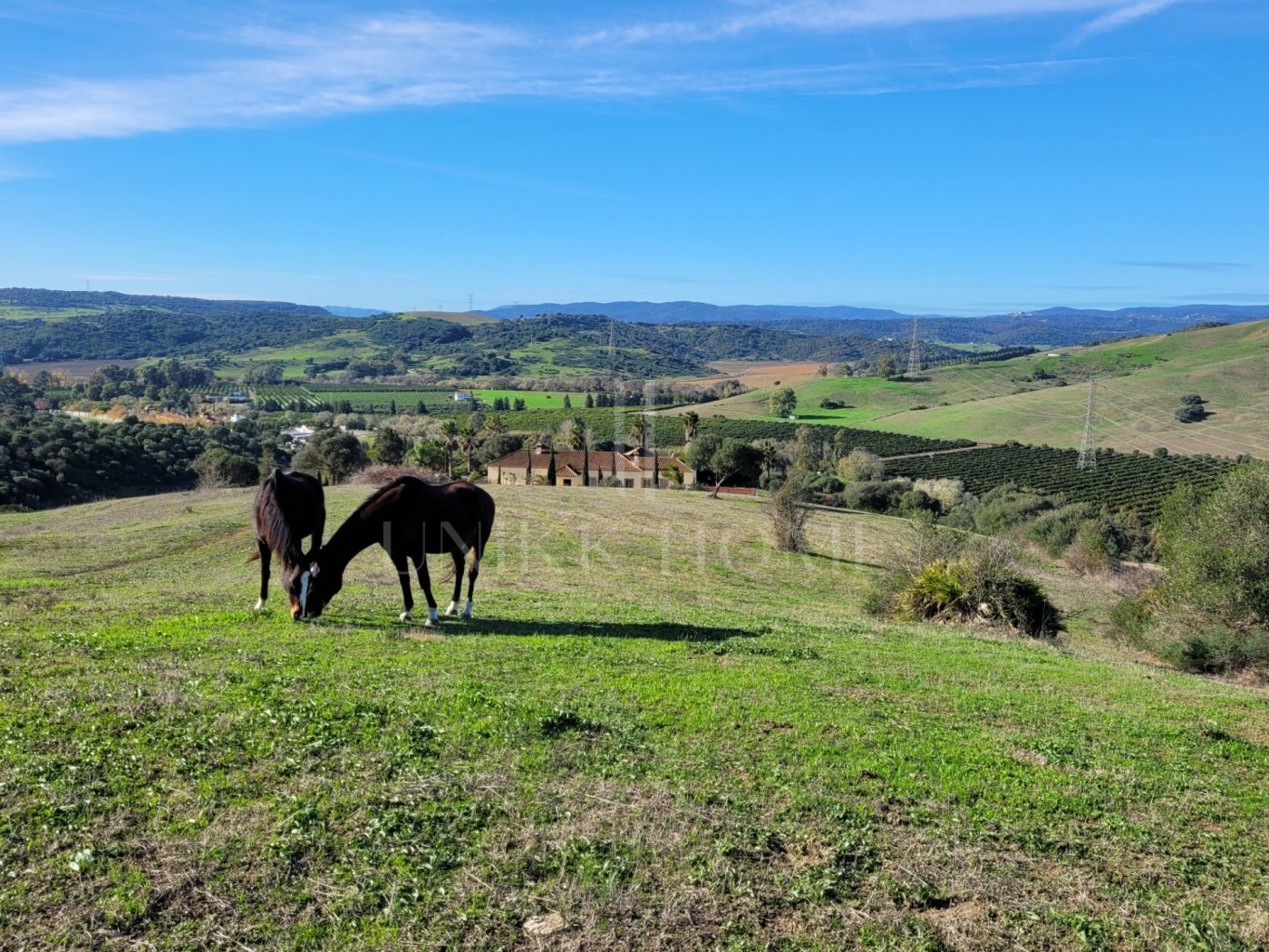 Propiedad de campo (caballos) 6 dorm muy cerca de Sotogrande.