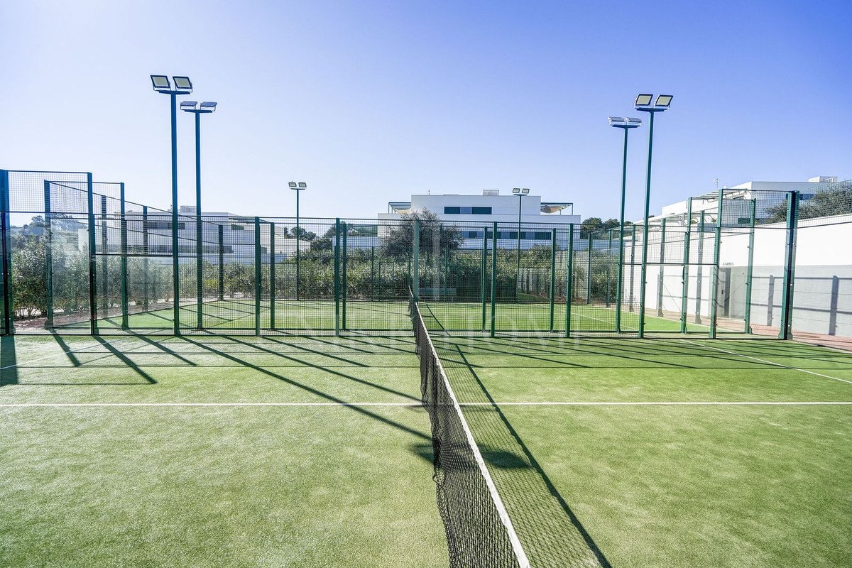 Large south-facing penthouse apartment